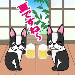 [LINEスタンプ] センスオブ サマータイム