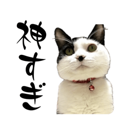 [LINEスタンプ] 茶とみからあなたへ6
