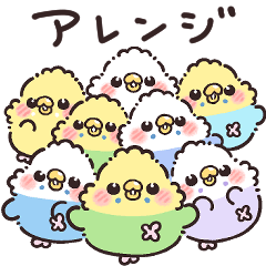 [LINEスタンプ] 組み合わせて使えるインコちゃんスタンプ