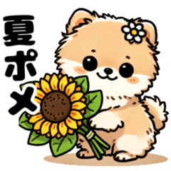 [LINEスタンプ] 夏のポメラニアンスタンプ