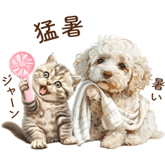 [LINEスタンプ] 夏に使いたいトイプードルと子猫スタンプの画像（メイン）