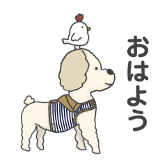 [LINEスタンプ] 【毎日レイちゃん】