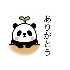 [LINEスタンプ] いつでも元気いっぱいなパンダのスタンプ