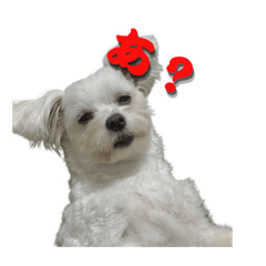 [LINEスタンプ] かわいいめるちんスタンプ