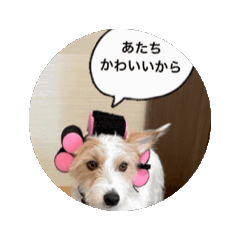 [LINEスタンプ] 動くあーものぽんぽん