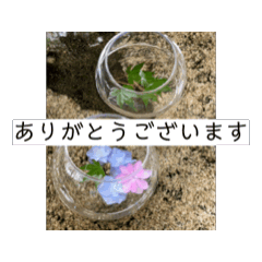 [LINEスタンプ] 夏ころスタンプ