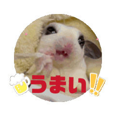 [LINEスタンプ] フクモモLifeスタンプ