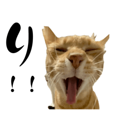 [LINEスタンプ] ちゃーくんからあなたへ9