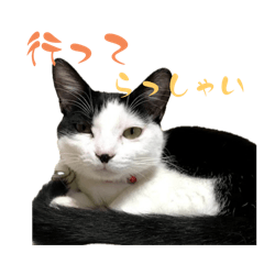 [LINEスタンプ] 茶とみからあなたへ8