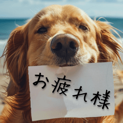 [LINEスタンプ] 犬からの手紙⭐️