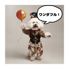 [LINEスタンプ] 貴族犬たちの優雅な日常スタンプ