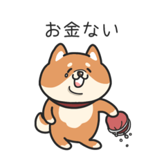 [LINEスタンプ] 柴犬のゆる会話スタンプ