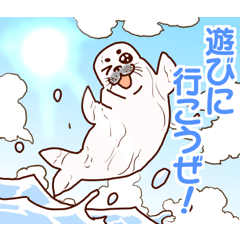 [LINEスタンプ] アザラシくんの夏スタンプ