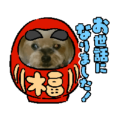 [LINEスタンプ] 可愛いポロン