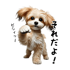 [LINEスタンプ] ミックス犬のマルプーのスタンプです。