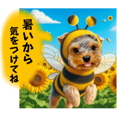 [LINEスタンプ] 梅雨から夏に使えるヨーキースタンプ