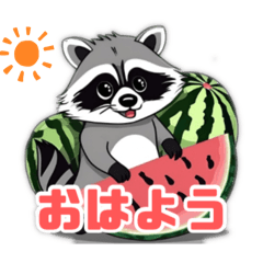 [LINEスタンプ] スイカ大好き！かわいいアライグマスタンプ