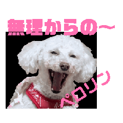 [LINEスタンプ] 保護犬大福動きますその壱