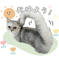 [LINEスタンプ] ノワちゃんのきもち