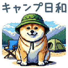 [LINEスタンプ] キャンプ柴犬【アウトドア・かわいい】