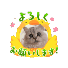 [LINEスタンプ] ゥチの子♡″315