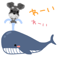 [LINEスタンプ] ことこと動くシュナウザー夏