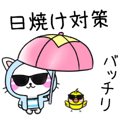 [LINEスタンプ] ず〜っと使える♡夏-ちびねこ100%の画像（メイン）