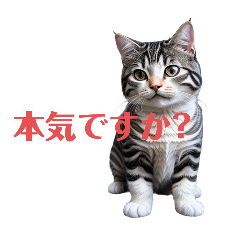 [LINEスタンプ] あめりかん しょーとへあ2の画像（メイン）