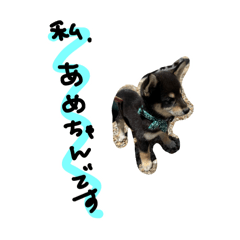 [LINEスタンプ] あめすたんぷううう