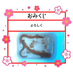 [LINEスタンプ] ㋚㋕㋤