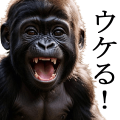 [LINEスタンプ] 【毎日使える】あかゴリラ