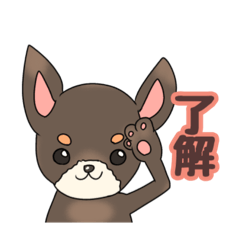 [LINEスタンプ] 仲良しピンシャーちゃんのスタンプ