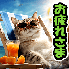 [LINEスタンプ] リアル⭐猫の夏休みの画像（メイン）