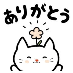 [LINEスタンプ] はなちゃ猫