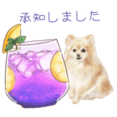 [LINEスタンプ] 【敬語】ほんわか動物とカクテル