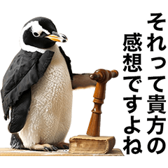 [LINEスタンプ] 法廷ペンギン【煽り・動物・面白い】