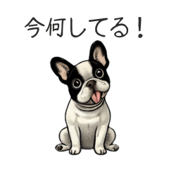 [LINEスタンプ] シュールなフレブルの今何してる？