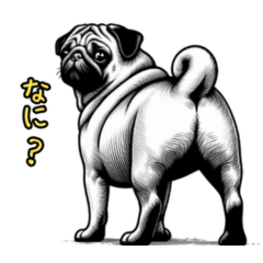 [LINEスタンプ] なーに？振り返る犬