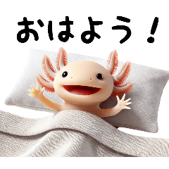 [LINEスタンプ] 可愛いウーパールーパーのスタンプです。