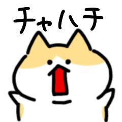 [LINEスタンプ] よく使える『チャハチ』スタンプ