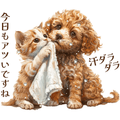 [LINEスタンプ] 夏☆トイプードルと子ネコの敬語スタンプ