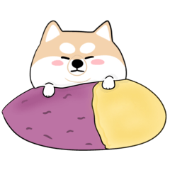 [LINEスタンプ] ぽっちゃり柴犬【文字なし】