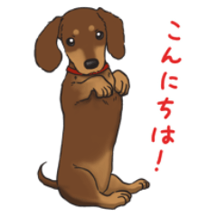 [LINEスタンプ] ミニチュアダックスフンド 犬のしつけハグ