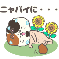 [LINEスタンプ] サマーカットにゃんこ 三毛猫 静岡方言