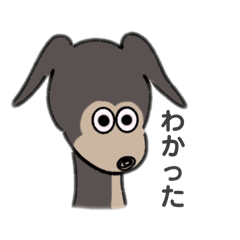 [LINEスタンプ] イタグレのパルちゃんとお友達♡