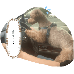 [LINEスタンプ] ばでぃたん