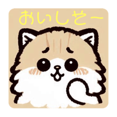 [LINEスタンプ] ふわふわネコの毎日気分