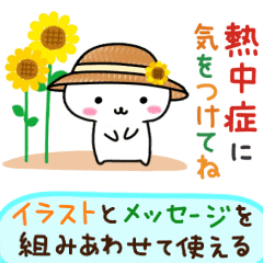 [LINEスタンプ] ▶動く！夏のにゃん子イラストとメッセージ