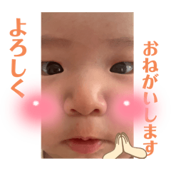[LINEスタンプ] ぴーコレ①