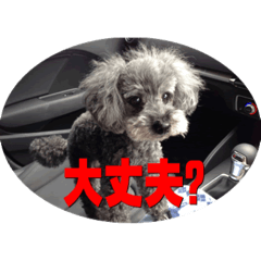 [LINEスタンプ] 自画自賛007